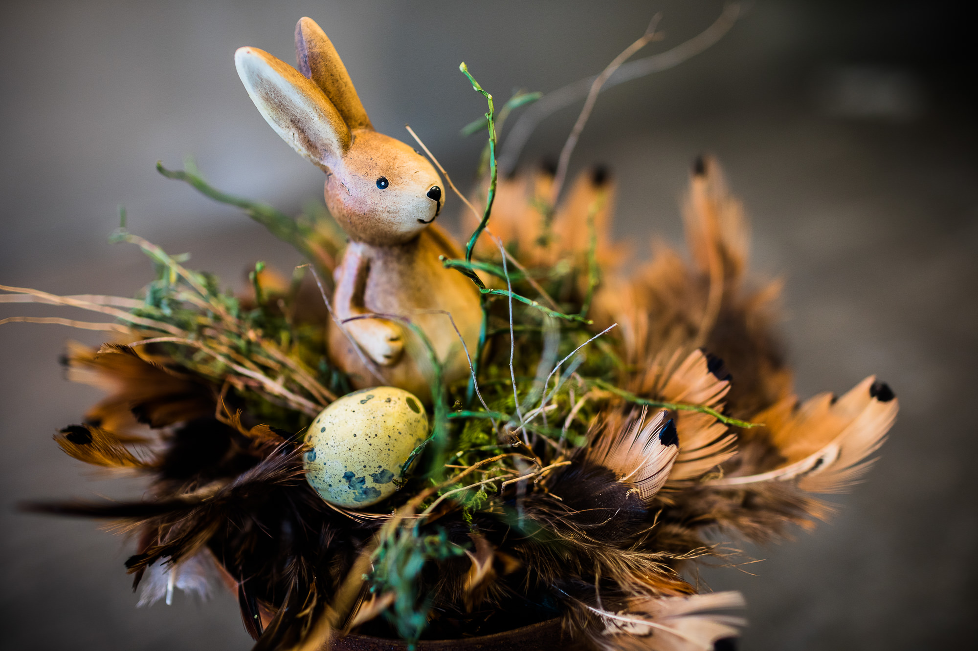 Export x3 5D4 9332 Businessauftrag 2017 Blattform Aarau